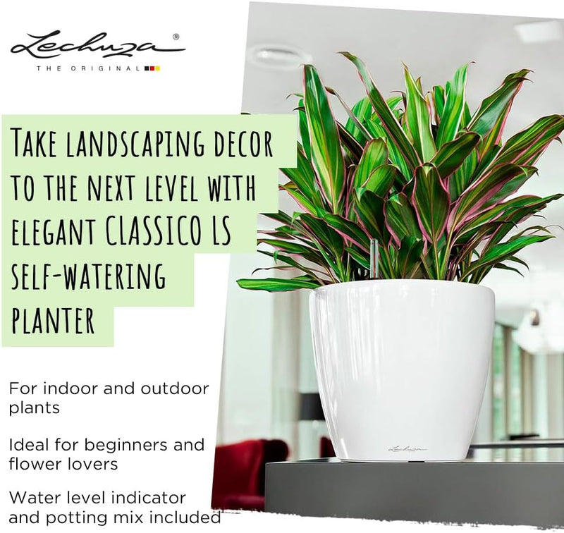 Self Watering Plant Pot Classico 35 Ls Garden