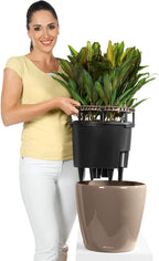 Self Watering Plant Pot Classico 35 Ls Garden