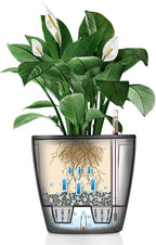 Self Watering Plant Pot Classico 35 Ls Garden