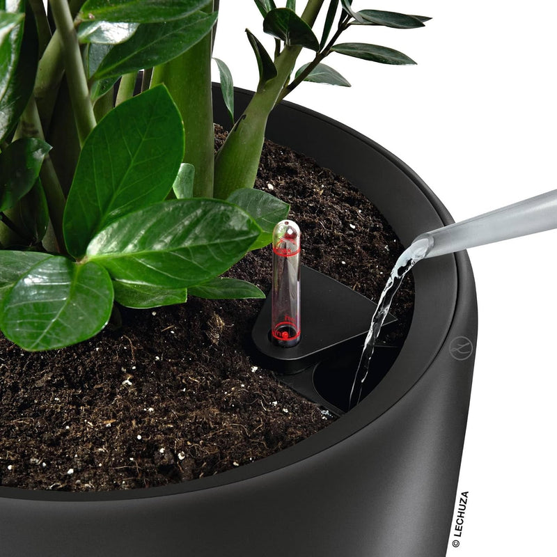 Self Watering Plant Pot Classico 35 Ls Garden