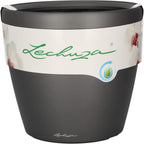 Self Watering Plant Pot Classico 35 Ls Garden