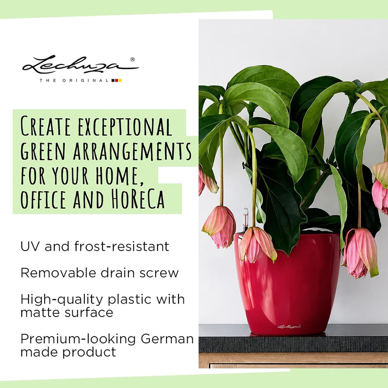 Self Watering Plant Pot Classico 35 Ls Garden