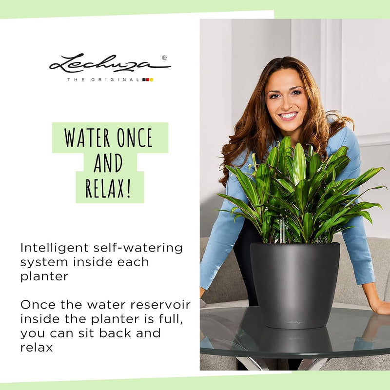 Self Watering Plant Pot Classico 35 Ls Garden