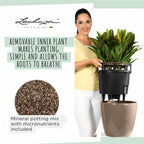 Self Watering Plant Pot Classico 35 Ls Garden