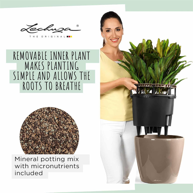 Self Watering Plant Pot Classico 35 Ls Garden