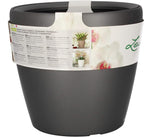 Self Watering Plant Pot Classico 35 Ls Garden