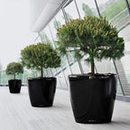 Self Watering Plant Pot Classico 35 Ls Garden
