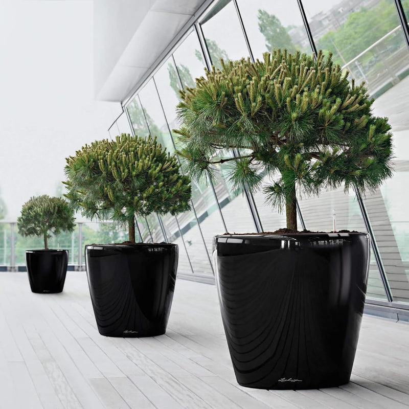 Self Watering Plant Pot Classico 35 Ls Garden