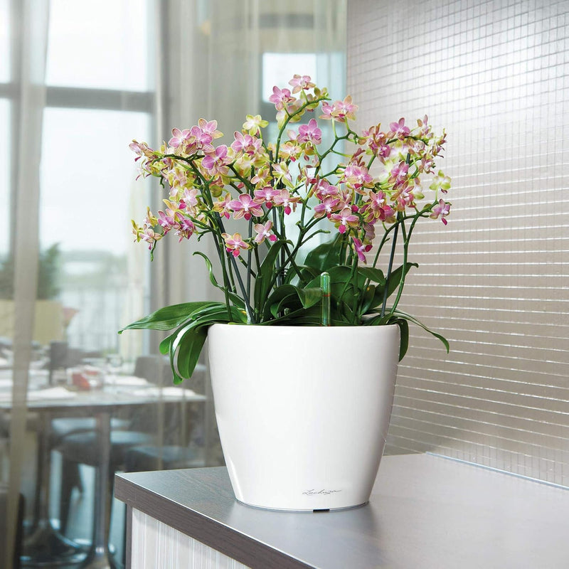 Self Watering Plant Pot Classico 35 Ls Garden (1 Pack)