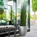 Self Watering Plant Pot Classico 35 Ls Garden