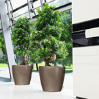 Self Watering Plant Pot Classico 35 Ls Garden