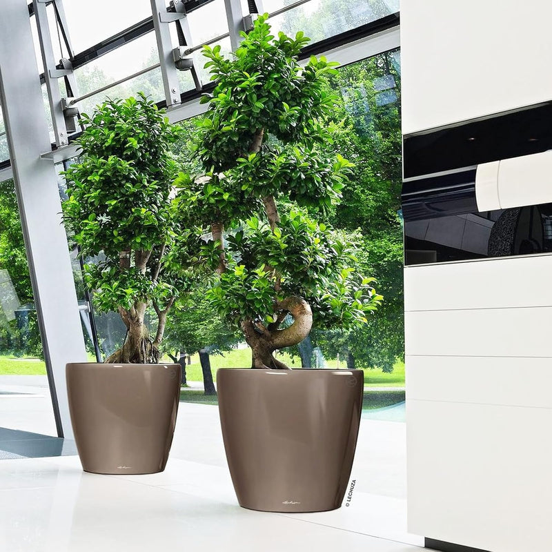 Self Watering Plant Pot Classico 35 Ls Garden