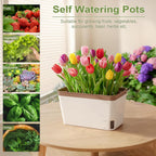 Self Watering Plant Pots 10.5 Inch Rectangular Windowsill (Set of 3)