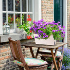 Self Watering Plant Pots 10.5 Inch Rectangular Windowsill (Set of 3)