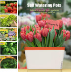 Self Watering Plant Pots 10.5 Inch Rectangular Windowsill (Set of 3)