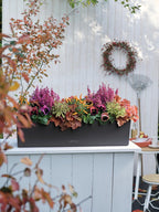 Self Watering Plant Pots Balconera Colour
