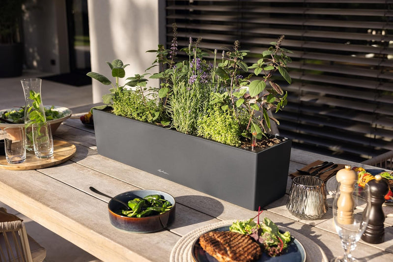 Self Watering Plant Pots Balconera Colour