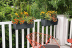 Self Watering Plant Pots Balconera Colour 2 X (2 Pack)