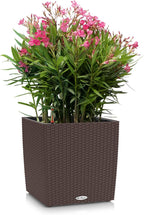 Self Watering Plant Pots Cube Cottage 40 Rattan