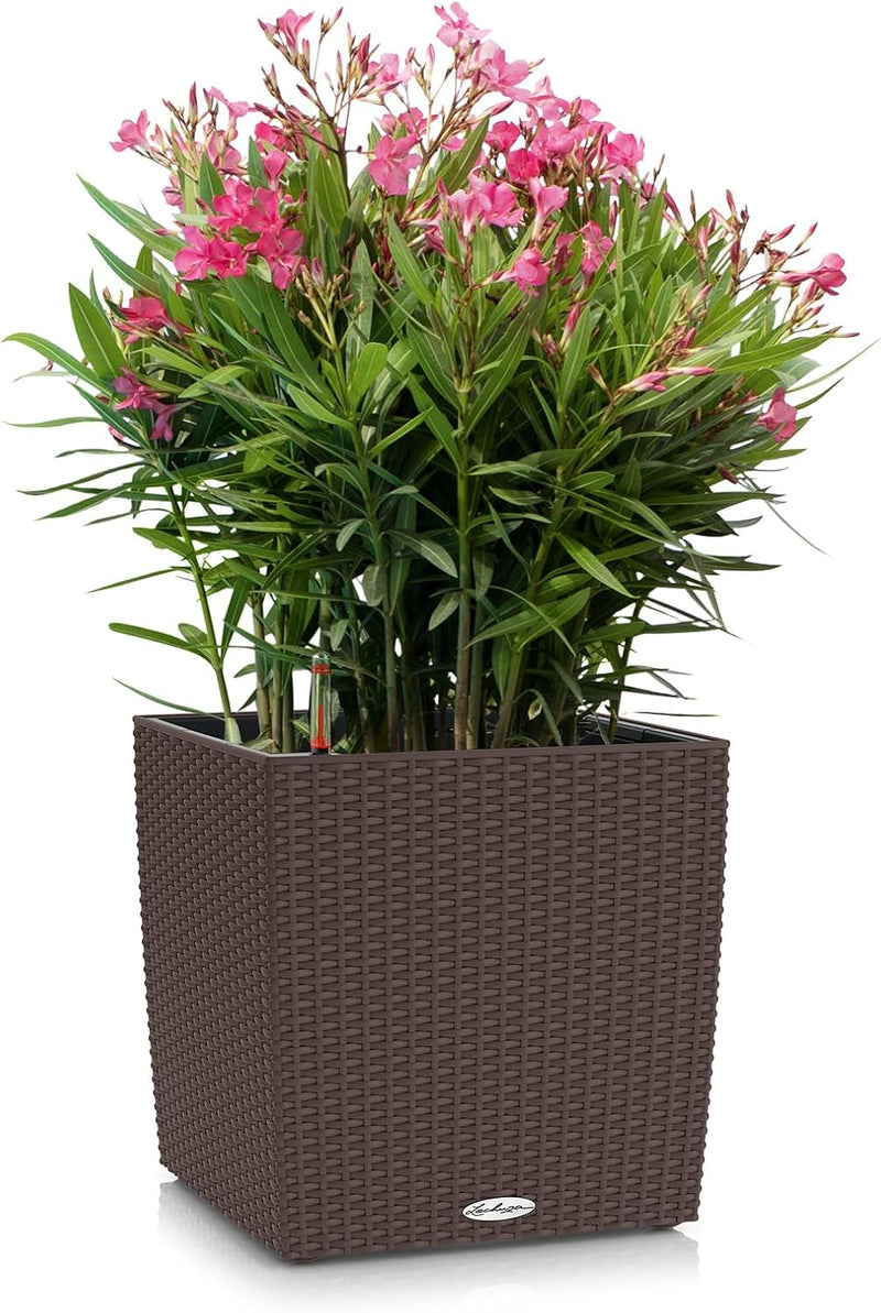 Self Watering Plant Pots Cube Cottage 40 Rattan