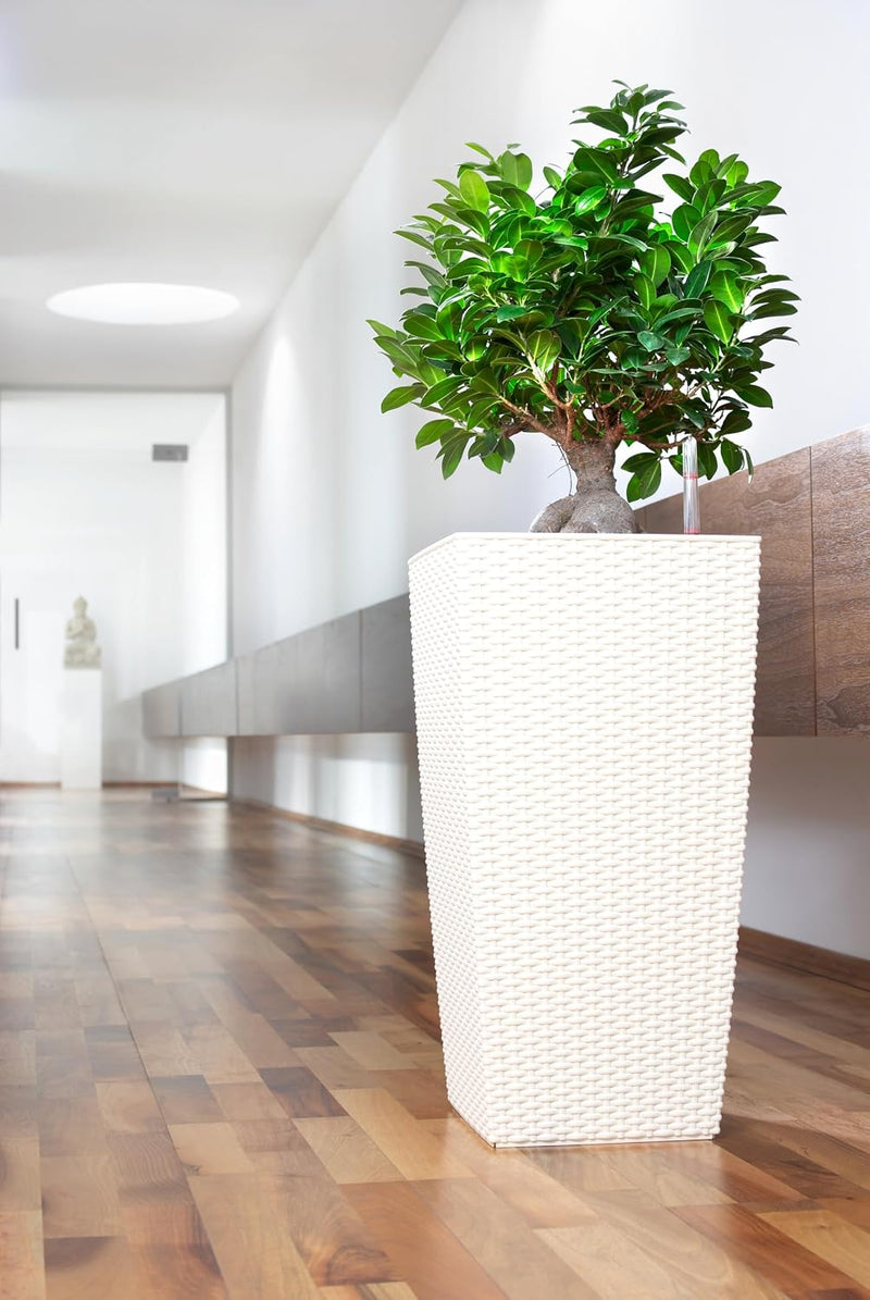 Self Watering Plant Pots Cubico Cottage