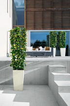 Self Watering Plant Pots Cubico Cottage