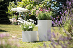 Self Watering Plant Pots Cubico Cottage