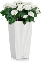 Self Watering Plant Pots Cubico Cottage 40 Large