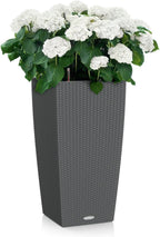 Self Watering Plant Pots Cubico Cottage 40 Large