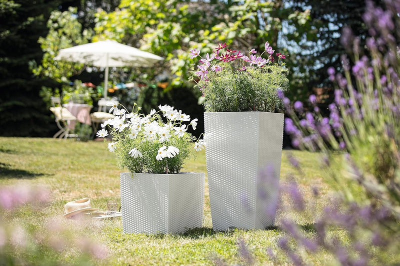 Self Watering Plant Pots Cubico Cottage 40 Large (1 Pack)
