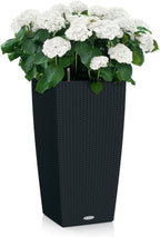 Self Watering Plant Pots Cubico Cottage 40 Large
