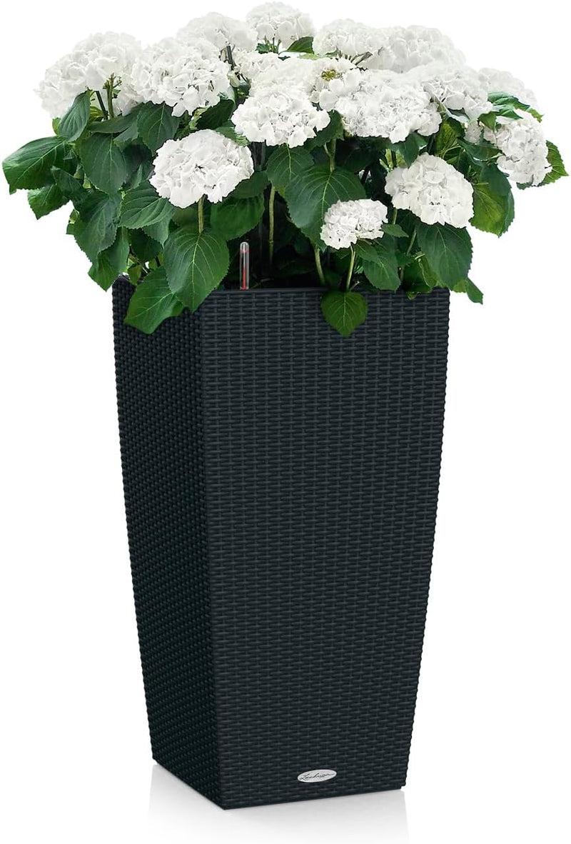Self Watering Plant Pots Cubico Cottage 40 Large