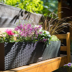 Self Watering Pot Balconera Cottage 80 Graphite Plastic