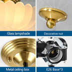 Semi Flush Mount Ceiling Light Smoky Glass Fixture