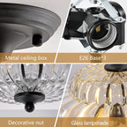 Semi Flush Mount Ceiling Light Smoky Glass Fixture
