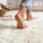 Shag Rugs for Living Room Feet Machine