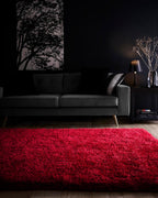 Shaggy Rug for Bedroom Living Room Fluffy Quality