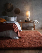 Shaggy Rug for Bedroom Living Room Fluffy Quality