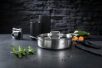 Shallow Casserole Pot 4.5L 5-Ply Stainless Steel