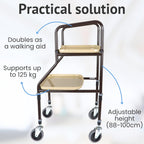 Shelf Mobility Trolley Walking Zimmer Frame with Tray