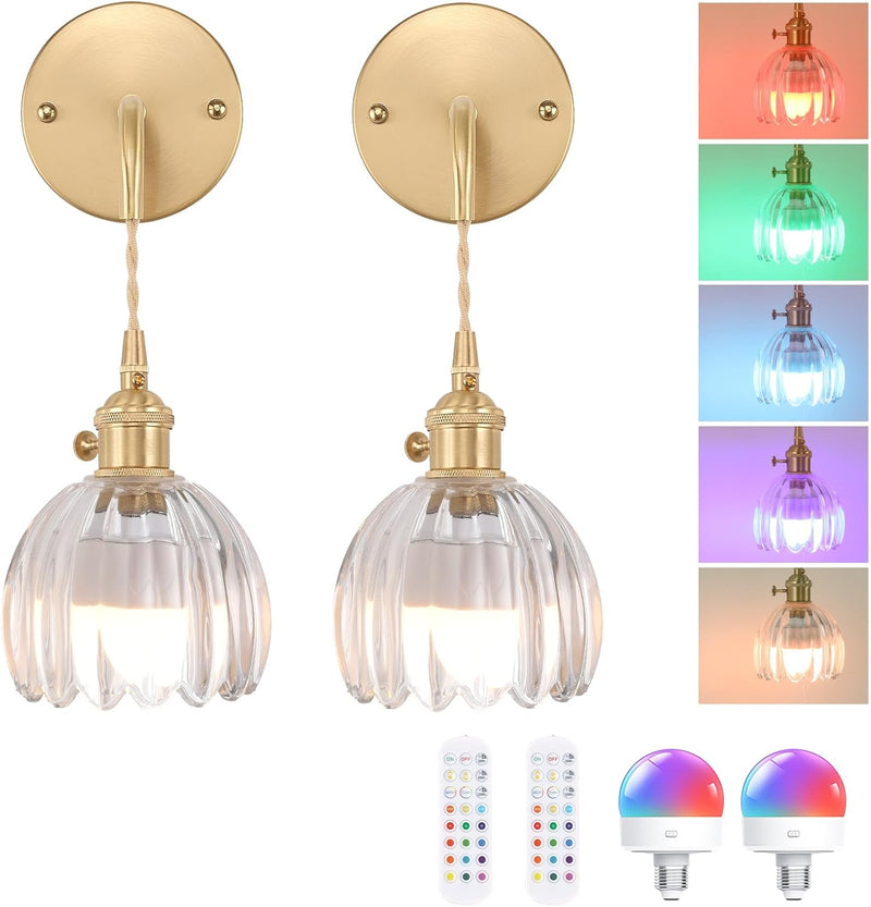 Battery Operated Wall Light Rechargeable Lamp (Set of 2)