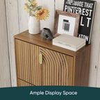 Shoe Cabinet Storage for Entryway with 2 Flip