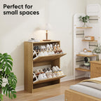 Shoe Storage Cabinet with Vertical Groove Doors 2