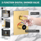 Shower Faucet Set with Hydro Power Temperature Display