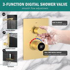 Shower Faucet Set with Hydro Power Temperature Display