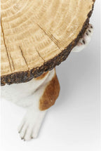 Side Table Animal Tiger Motif Gift Idea Round