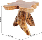 Side Table Tree Big Nature Diameter