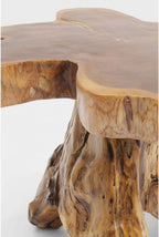 Side Table Tree Big Nature Diameter