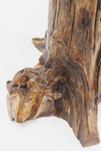 Side Table Tree Big Nature Diameter