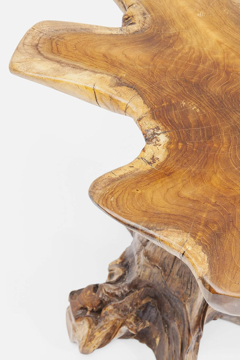 Side Table Tree Big Nature Diameter